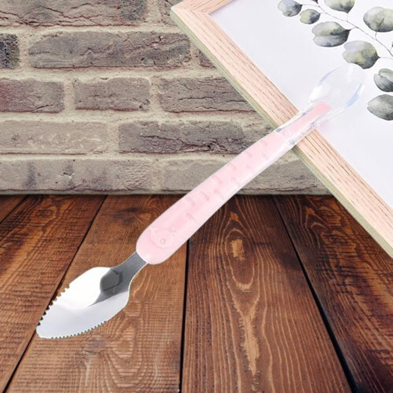 Vadhavan Multi-Use Bpa Free Fruit Scraping & Feeding Spoons - Plastic(Multicolor)