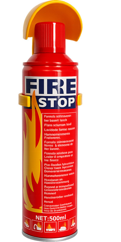 RAEWSP 2024 Fire Extinguisher Mount(0.5 kg)