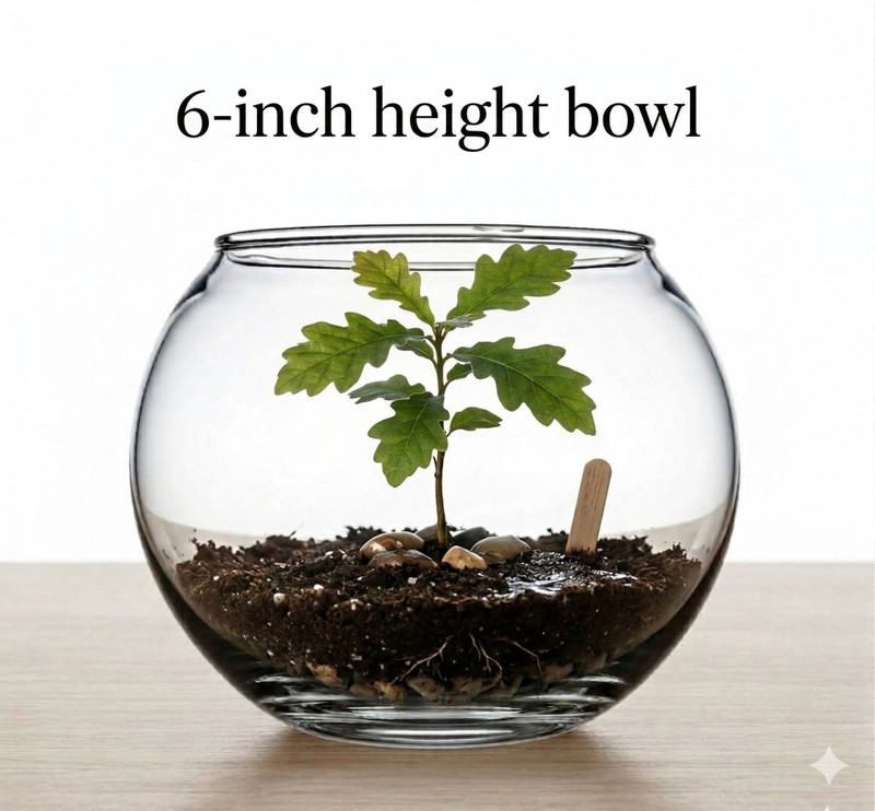 SHIVWORLD 4 L Fish Bowl