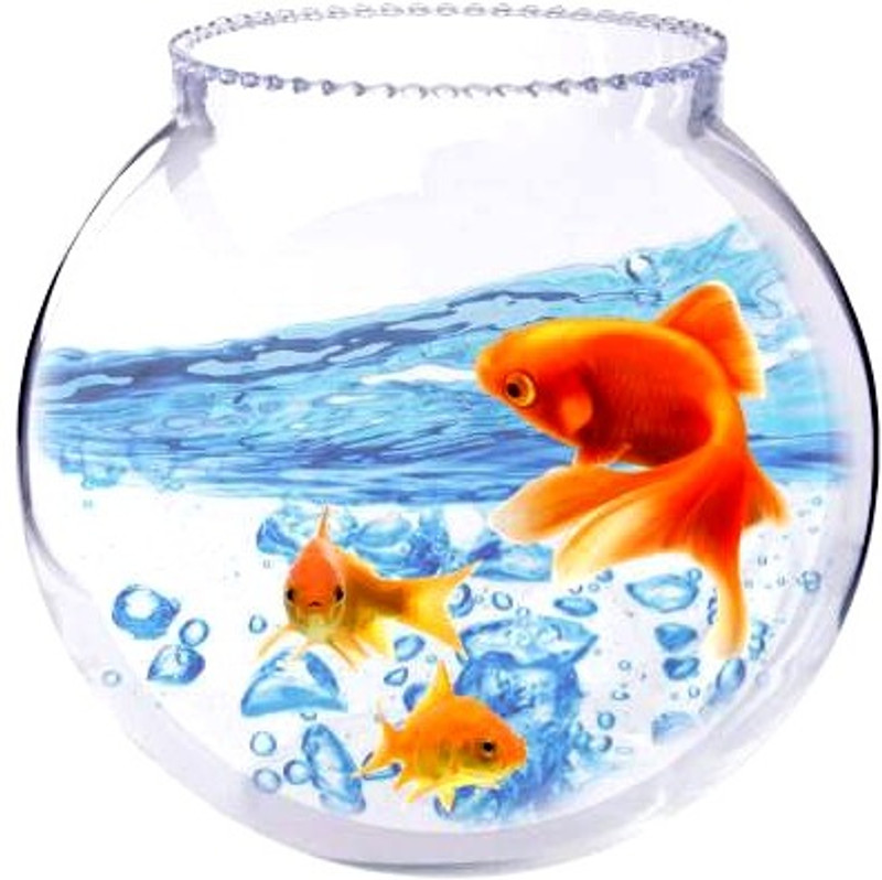 ATLOYAL Round Glass Fish Bowl– Decorative Aquarium Bowl for Home, Office & Table Decor Round Ends Aquarium Tank(2.9 L)