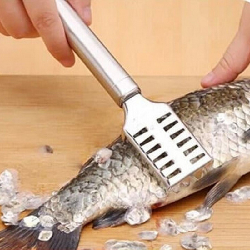 Qexle Steel Fish Scale Remover – Stainless Tool for Easy, Efficient Fish Cleaning Fish Scaler(Pack of 1)