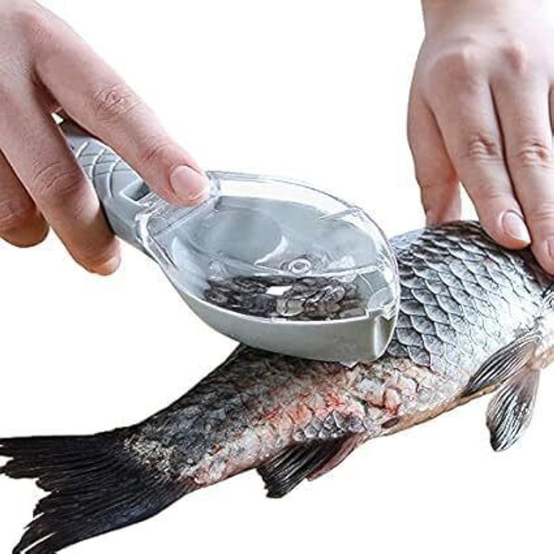 Fequillon Fequillon Premium Fish Scaler Tool Fish Scaler(Pack of 1)
