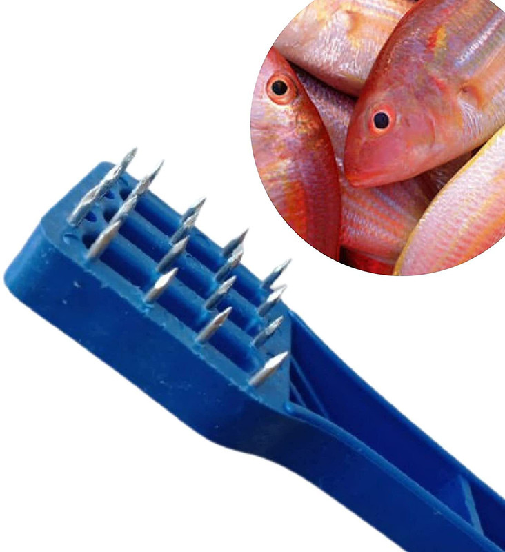 CEESHA Fish Scale Scrapper | Cleaning Tools Plastic Handle Pack of 1 Fish Scaler