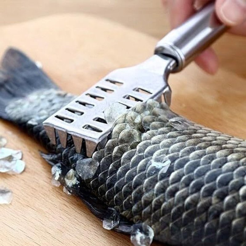 CRIYALE Fish Scale Remover Scrapper Scale Cutter Cleaning Tools for Kitchen (pack of 1) Fish Scaler(Pack of 1)