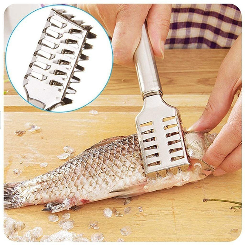 FULKIZA 1PCS Staineless Steel Fish Scale Remover Fish Scale Fish Scaler Fish Scaler(Pack of 1)