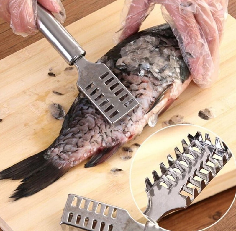 KARNIKHA INTERNATIONAL FISH SCALE REMOVER STAINLESS STEEL FISH CUTTING TOOLS REMOVE FISH SCALES Fish Scaler(Pack of 1)