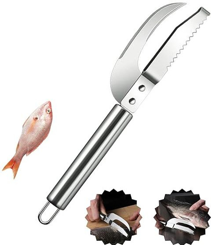 CYOFQD Stainless Steel 3-in-1 Fish Maw Knife Fish Scale Scraper, Cutter & Cleaner Tool Fish Scaler(Pack of 1)