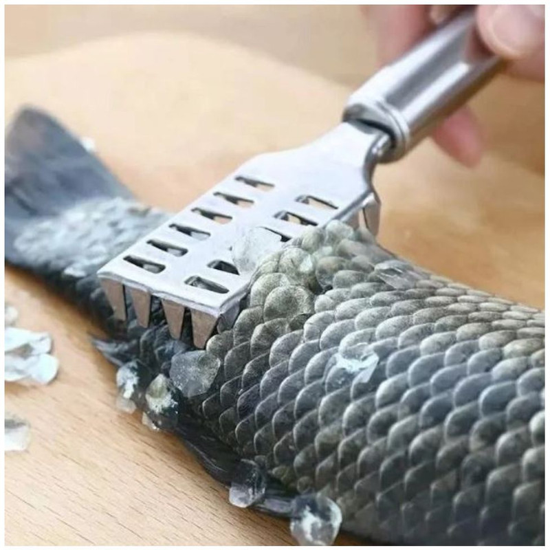 Arctic Enterprises Fish Scale Remover Fish Scaler(Pack of 3)