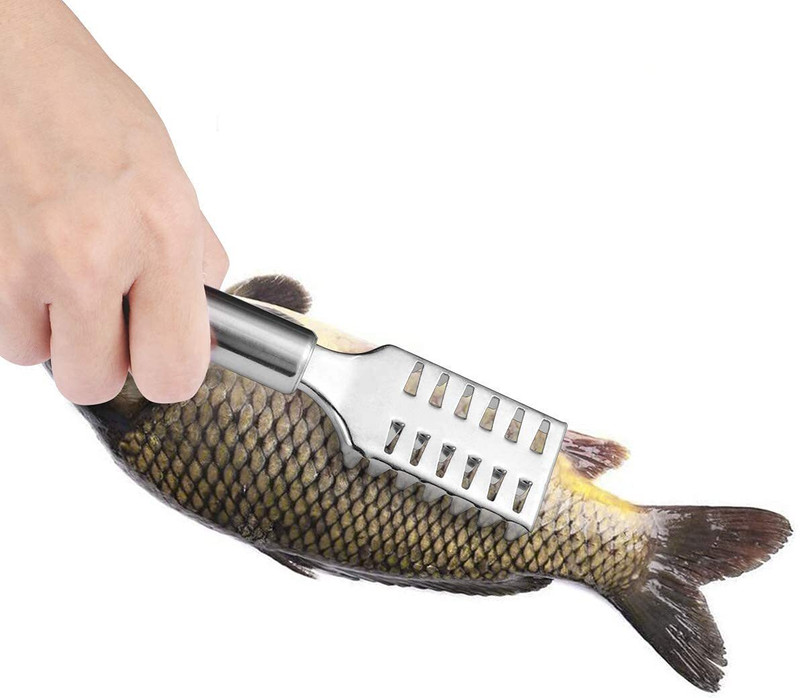 BIZOLO Kitchen Gadget Cleaning Fish Skin Scraper Stainless Steel Fish Scaler Fish Scaler(Pack of 1)