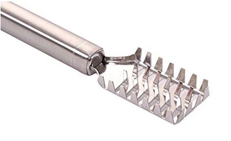 AshmakamMart Fish Scaler