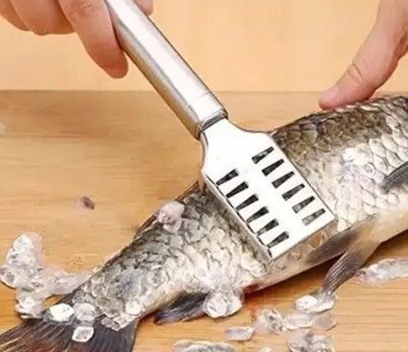 BHOOLU&GOOLU Stainless Steel Fish Scale Remover - 1 Pc/Pack Fish Scaler(Pack of 1)
