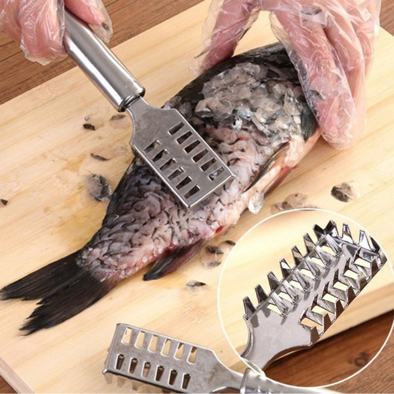 AshmakamMart Fish Scale Removal Tool – Remove Tough Scales Quickly Without Cuts Fish Scaler(Pack of 1)