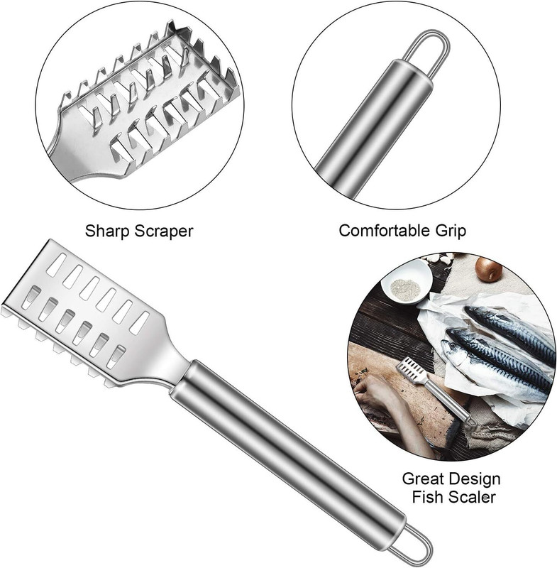 FEXMY SS Fish Scaler 2026 Fish Scaler(Pack of 1)