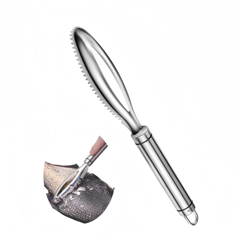 Nextplify Stainless Steel Fish Scale Scraper Remover Tool with Handle Fish Scaler(Pack of 1)