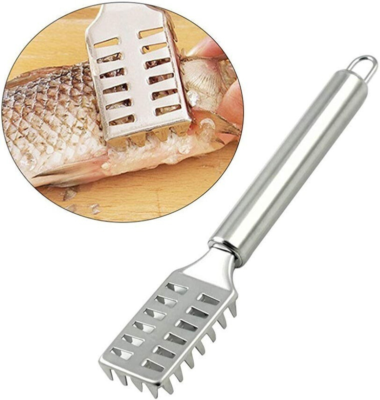 Alonsa Stainless Steel Fish Scale Remover Sawtooth Scale Knife Peeler/Scraper Cleaner Fish Scaler(Pack of 1)