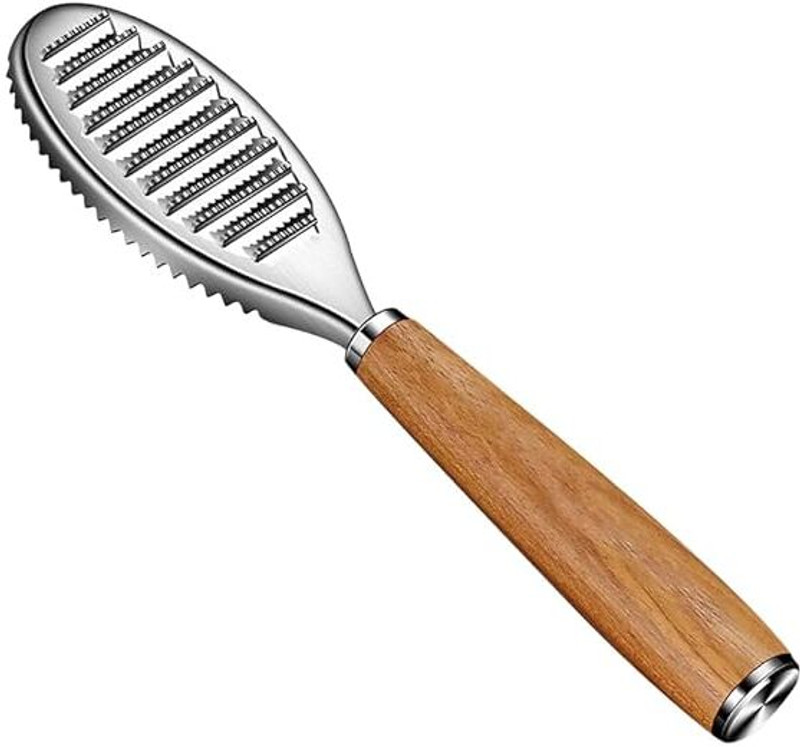 VYSTRA Fish Scaler