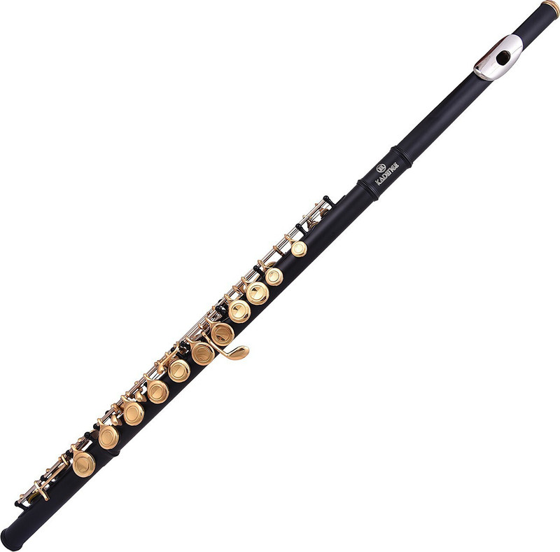 KADENCE Flutes Key of C 16 Key for Beginner, Black Gold Nickel Flute with Leather Case Plated Flute(43 cm)