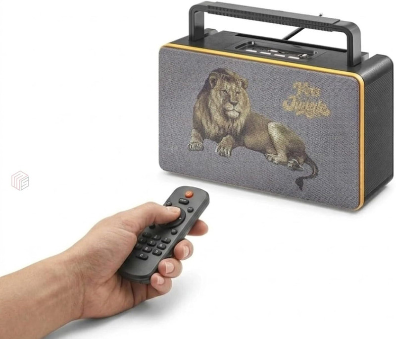 Drumstone FX2506BB Portable FM/AM Radio | Bluetooth USB/TF Rechargeable Travel Gift FM Radio(Multicolor)