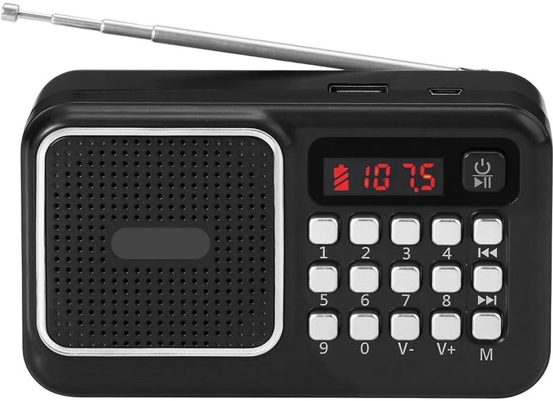 QUBE MA-Carvaan Dynamic Portable Wireless 5 W Bluetooth Speaker with FM Radio/Sound FM Radio(Multicolor)