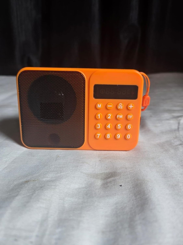 HUSKY QUALITY OUR PRIORITY Star 665 FM Bluetooth Speaker Gurbani Player with Radio FM Radio(Multicolor)
