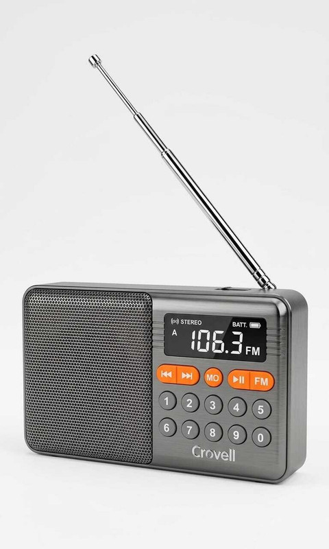 Crovell BR5311 FM Radio(Grey)