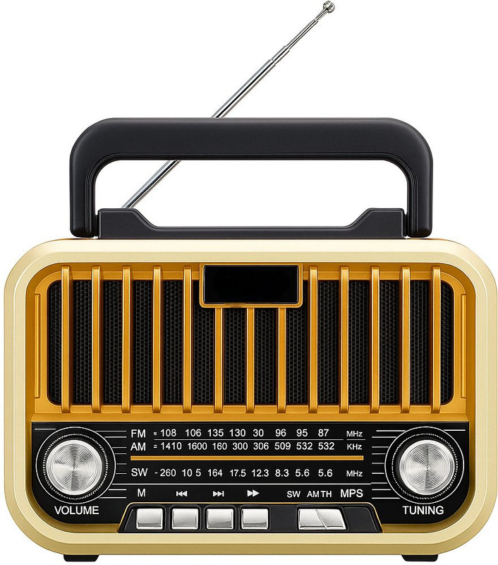 fire turtle Pocket Blast FM Radio & Bluetooth Speaker |10W Sound | FM Recording 12H Playtime FM Radio(Light Brown)