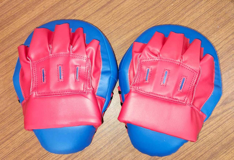 BIGPRINT SPORTS KARATE KICK PAD Focus Pad(Blue, Red)