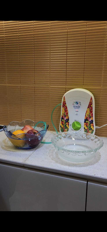 Flowtech appliances Food Processor 10 W Food Processor(Multicolor)