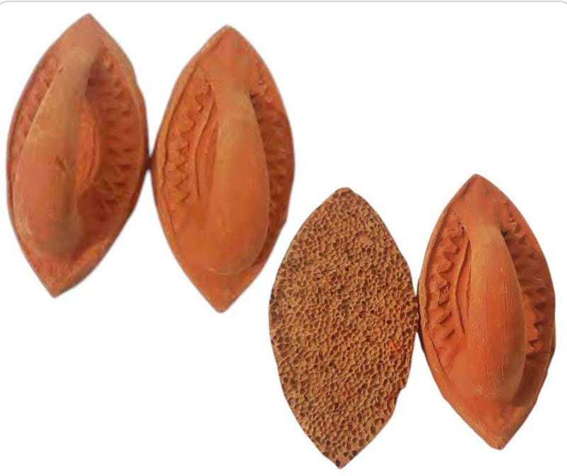 QWGPT mail khora /foot scrub /body scrub /Dead Skin Remover(Brown)