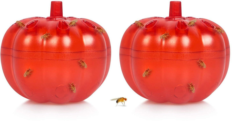 Jiyancreation Gnat Trap for Kitchen & Home, Reusable Fly Trap Plastic Fruit & Vegetable Basket(Multicolor)