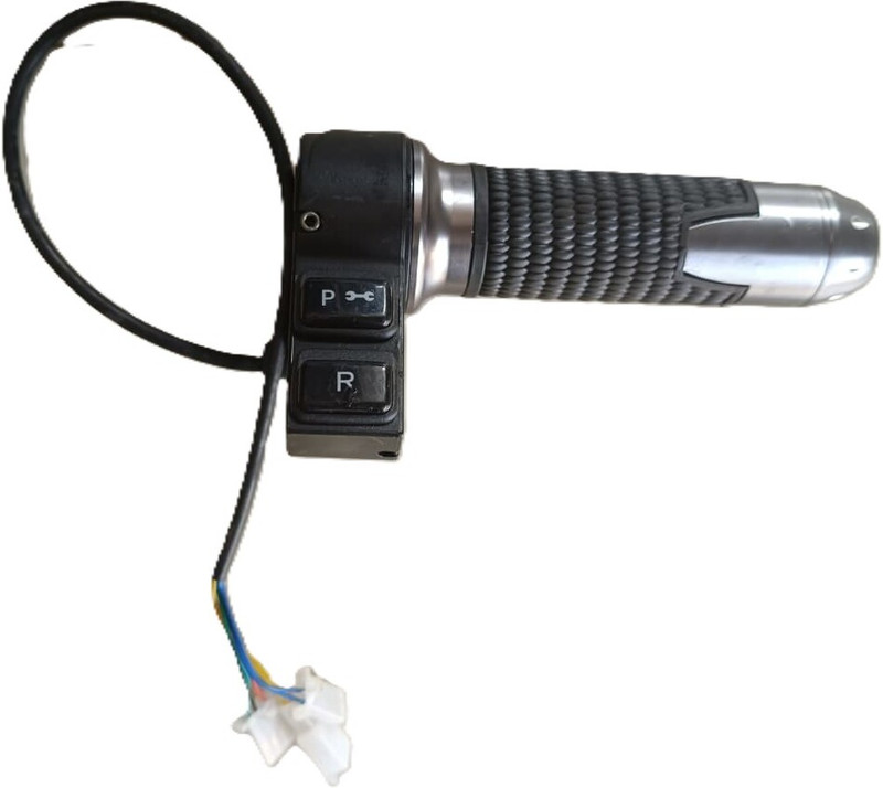 chatushkon e vehicles zgs trento throttle for ev scooty Electronic Fuel Injection Throttle