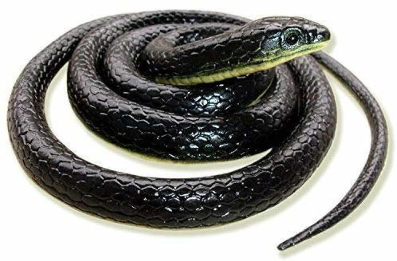BBS DEAL pack of-1 Introduce multicolor Fake King Cobra Snake ._New snack Gag Toy(Black)