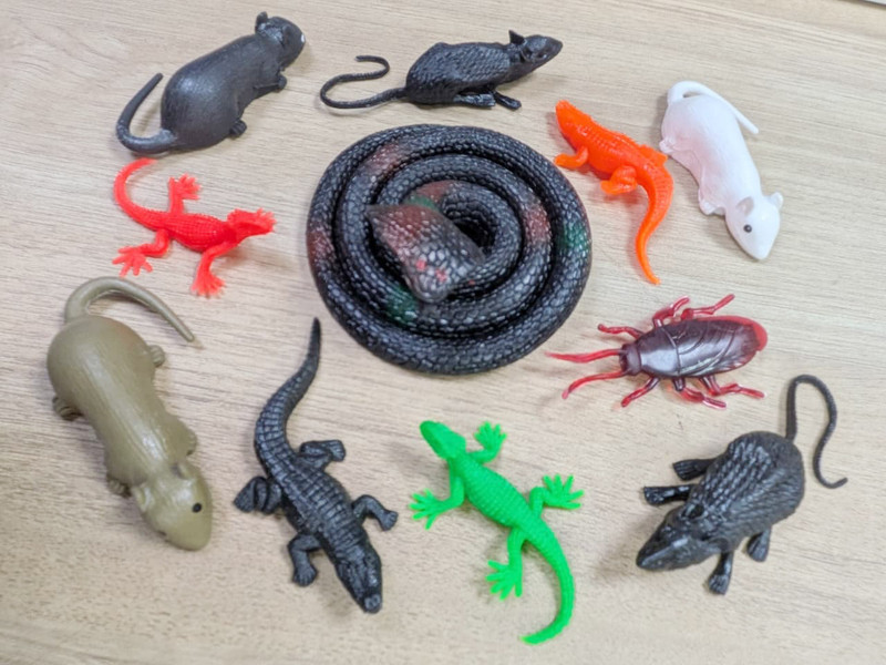 Tik C RT5-CRD2-LZ2-COB1-CR1 Rubber Animal Toy / Prank Toy Gag Toy(Black, Red, Green, Brown, White)