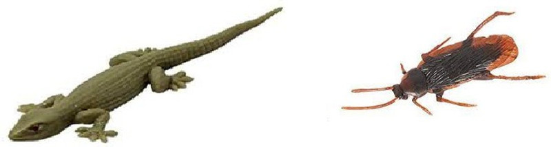 R.s.Magic Tricks (Pack of 4) Rubber Lizard and Fake Realistic Rubber Cockroach Novelty Prank Life Like Toy lizard and cockroach toys Gag Toy(Brown , grey)