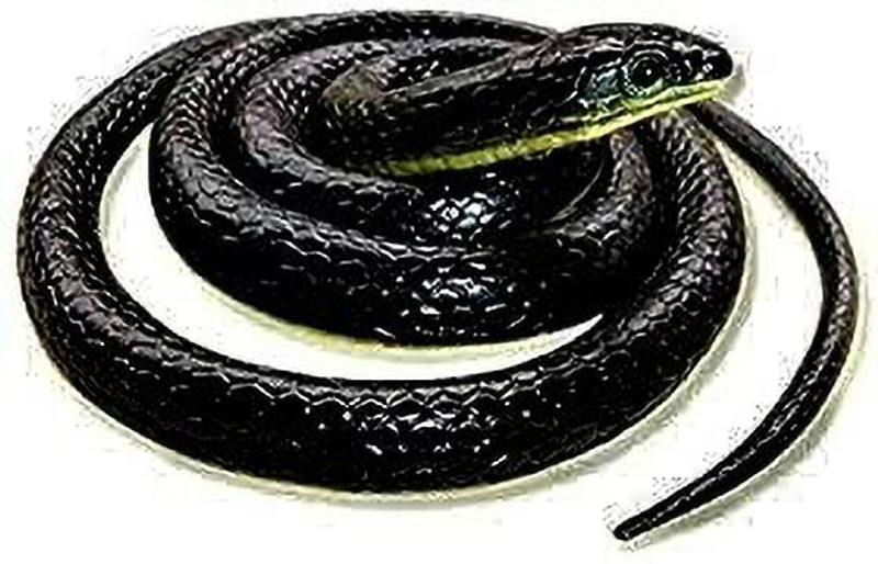 NV COLLECTION Rubber snake toys are a great way to get creative with your pranks and jokes Fake Snakes Prank Toy Rubber Realistic Gag Toy