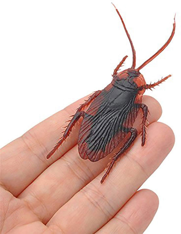 musbu Pack of 1 Fake Cockroach Jokes,Prank Toys For Boys, Girls Cockroach Gag Toy Fake Cockroach Gag Toy(Brown)