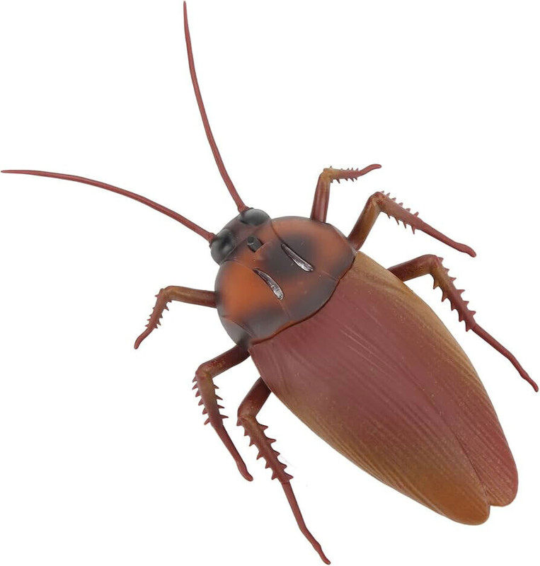 Cyrus Pack of 1 Pcs Cockroach Toy Prank Toys Looks real cockroach to fool your friends Fake Cockroach Gag Toy(Brown)