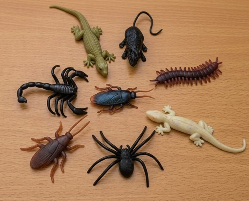 Tik C Educational Wildlife Animal Toys Combo Pack Insects & Reptiles Toy Set for Kids gang toys Gag Toy(Multicolor)