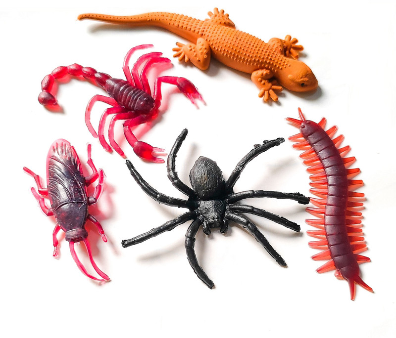 collectivemed Pack of 5 Halloween Fake Insects Trick Toys Practical Jokes and Prank Trick Toys Lizard, Cockroach, Spider, Kankhajura and Scorpion Real Looking Gag Toy(Multicolor)