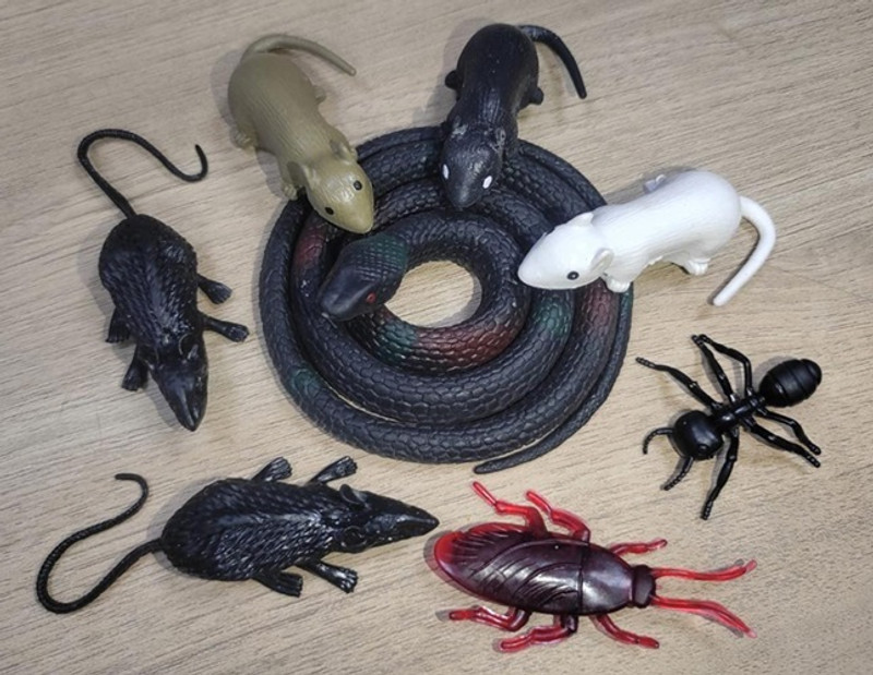 VEDY kids animal toys set combo pack snake rats ant cockroach gang toys Gag Toy(Multicolor)