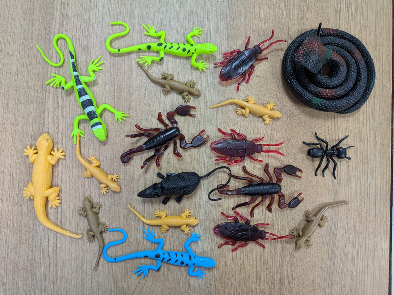 VEDY 17-in-1 Realistic Cobra Snake, Lizard & Insect Prank Toy Combo rubber/prank toys Gag Toy(Multicolor)