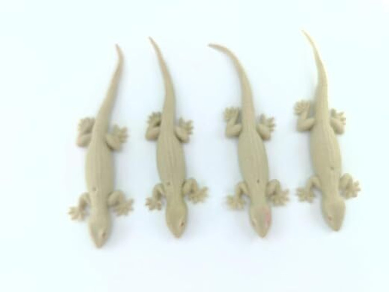 PADMAVATHI ENTERPRISES (Pack of 4Pcs Real Looking Rubber Lizard (balli) Toy (Cream Colour) LIZARD Gag Toy