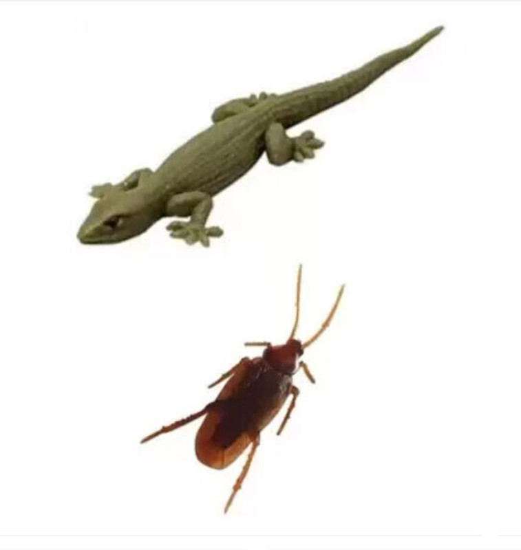 collectivemed Fake Cockroach and Fake Lizard Prank Toy Lizard, Cockroach Silicone Toy Gag Toy Fake Cockroach and Fake Lizard Gag Toy(Brown)