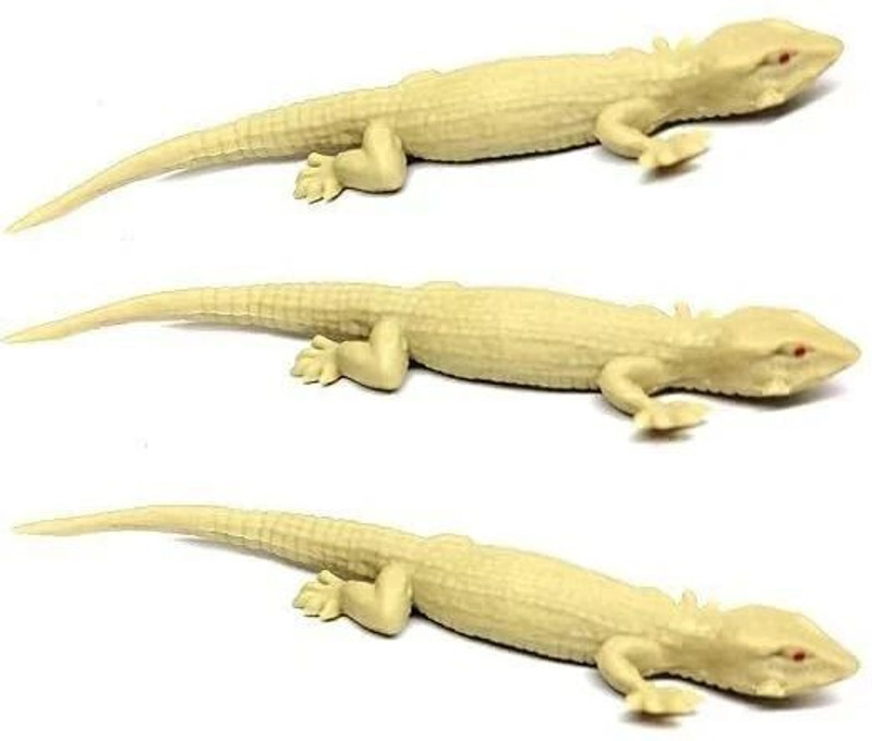 BLC 3 Pcs Silicone Chipkali For Prank Rubber Lizard For Prank Plastic Chipkali Insects Toy For Make Fool and fun gag toy Gag Toy(Multicolor)