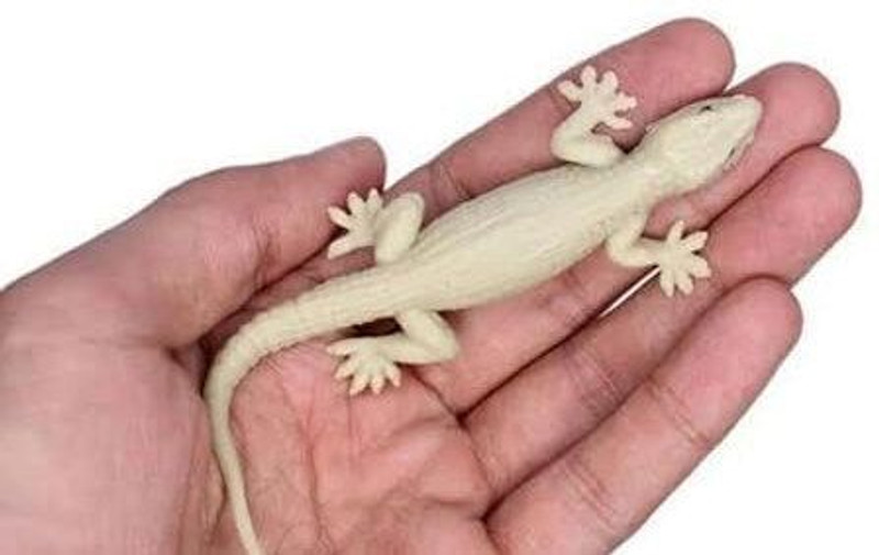 Childgossip New 1 Pc Rubber Lizards Looks Real Prank|Scary Insects Toy For Make Fool Gag Toy Rubber Lizard Prank Toy Gag Toy(Brown)