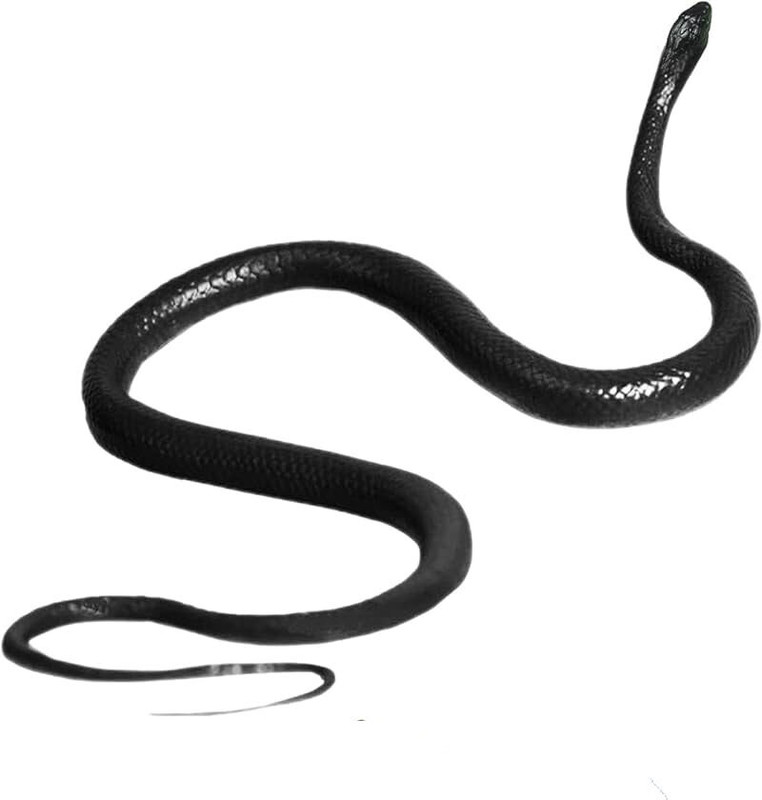 musbu Buy Fake Snakes Toys Prank Fake Gags toy Funny Halloween Toy Prank Snake Gag Toy