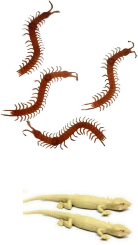 collectivemed 4 In 2(2 Pieces Lizard Fack Chipkali Toy + 2 Pcs Centipede/Kankajura caterpiller lizard Gag Toy