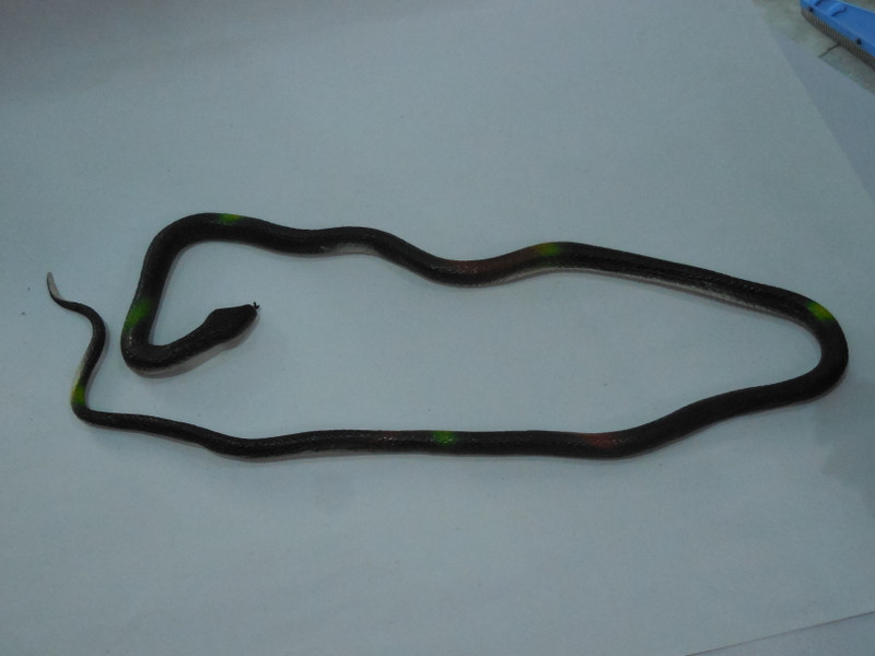 NV COLLECTION A rubber snake toy is a versatile toy that can be used in many different ways. Fake Snakes Prank Toy Rubber Realistic Gag Toy