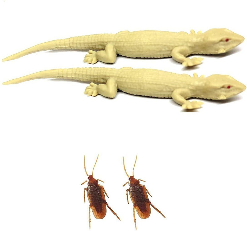 R.s.Magic Tricks (Pack of 4) Rubber Lizard and Fake Realistic Rubber Cockroach Novelty Prank Life Like Toy lizard and cockroach toys Gag Toy(Brown , grey)