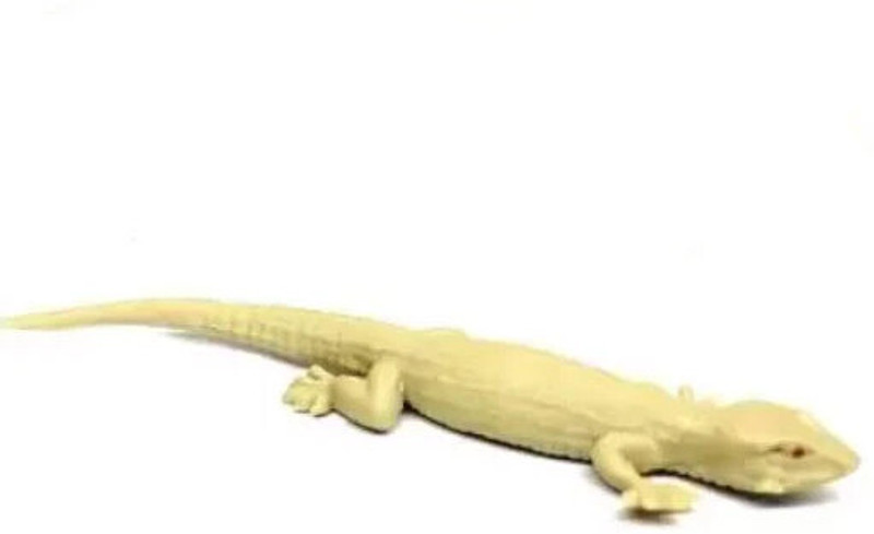 collectivemed 1 Pc Rubber Lizards Looks Real Prank|Scary Insects Toy For Make Fool Gag Toy Rubber Lizard Prank Toy Gag Toy(Brown)